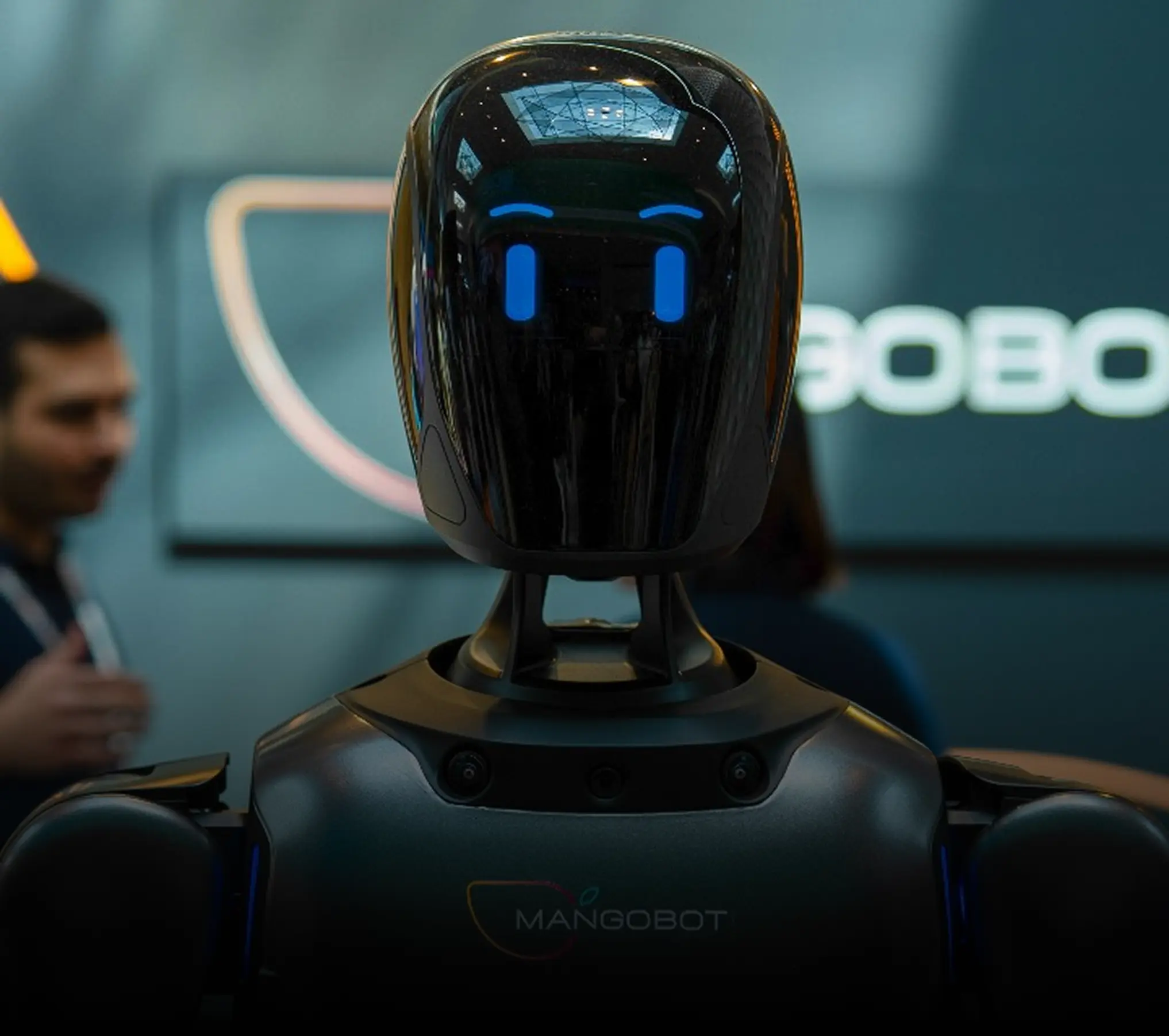 AI-Powered Fraud Protection